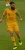 Mile Jedinak