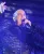 Neil Tennant