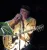 Peter Green