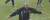 Terry Butcher